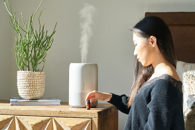 How does a Humidifier Work: A Guide about Humidifiers